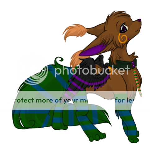 User Image